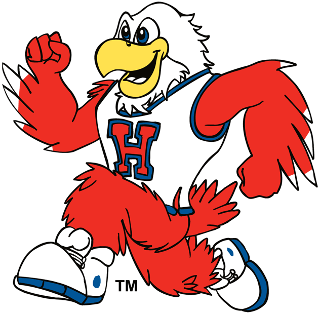 Hartford Hawks 1984-Pres Mascot Logo iron on transfers for fabric